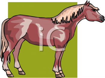 Horse Clipart