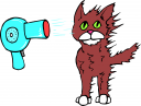 Cat Clipart