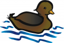 Duck Clipart