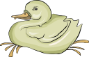 Duck Clipart