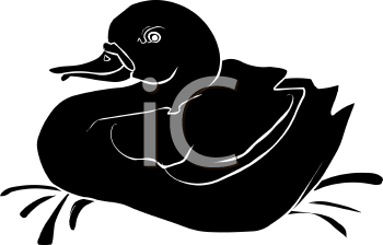 Duck Clipart