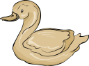 Duck Clipart