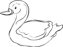 Duck Clipart