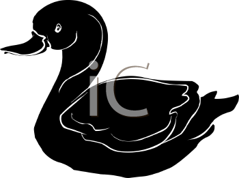 Duck Clipart