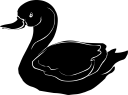 Duck Clipart