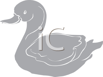 Duck Clipart