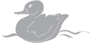 Duck Clipart