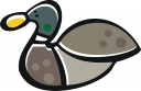 Duck Clipart