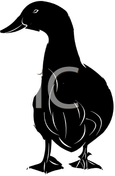 Duck Clipart