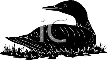 Duck Clipart