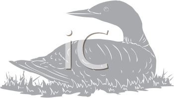 Duck Clipart