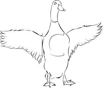 Duck Clipart