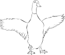 Duck Clipart