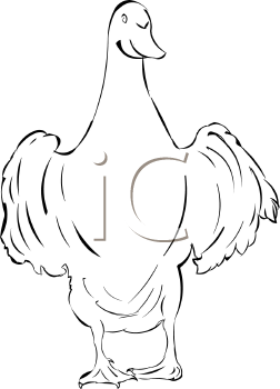 Duck Clipart