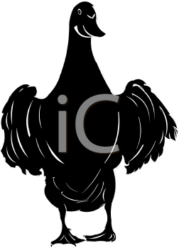 Duck Clipart