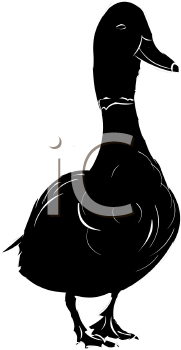 Duck Clipart