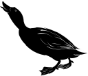 Duck Clipart