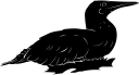 Duck Clipart