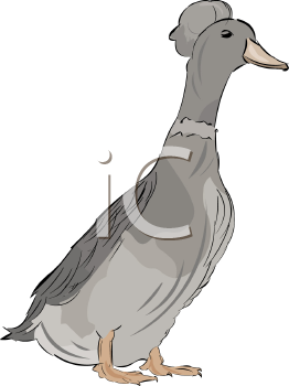 Duck Clipart