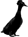 Duck Clipart