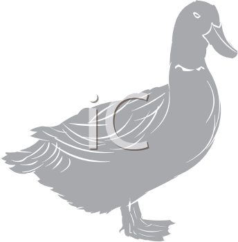 Duck Clipart