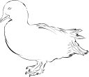 Duck Clipart