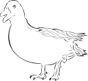 Duck Clipart