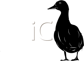 Duck Clipart