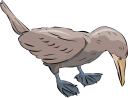 Duck Clipart