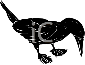 Duck Clipart