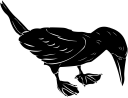 Duck Clipart