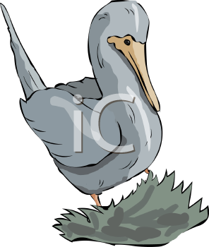 Duck Clipart