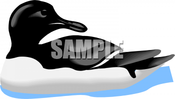 Duck Clipart