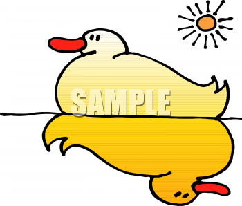 Duck Clipart