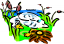 Duck Clipart