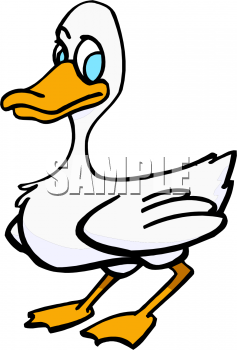 Duck Clipart