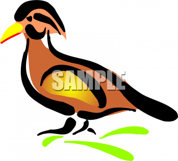 Duck Clipart