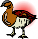 Duck Clipart