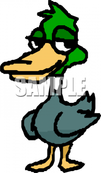 Duck Clipart