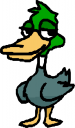 Duck Clipart