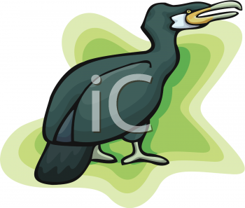 Duck Clipart