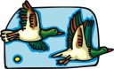 Duck Clipart