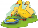 Duck Clipart