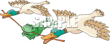 Frog Clipart