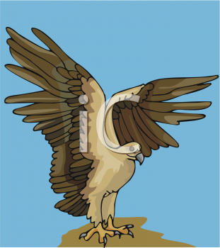 Eagle Clipart