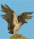 Eagle Clipart