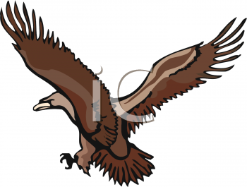 Eagle Clipart