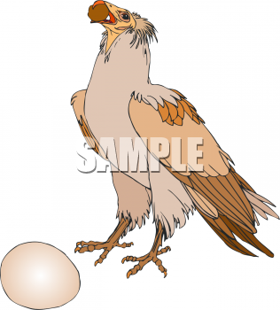 Royalty Free Eagle Clipart