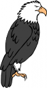 Eagle Clipart