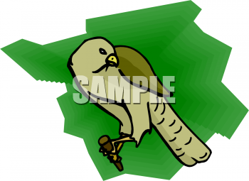 Eagle Clipart